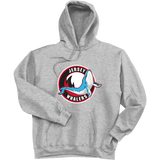 Jersey Shore Whalers Super Heavyweight Fleece Hoodie