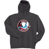 Jersey Shore Whalers Super Heavyweight Fleece Hoodie